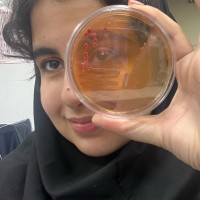 Mahdieh Mohammadzadeh