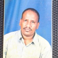 Mohamed Hamid