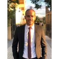 Mohamed Walid