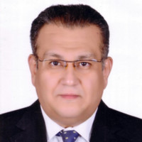 Sameh Obeid