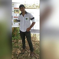 Daniel Tavares