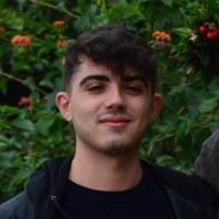 Davide Fois