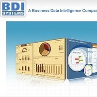 Business Intelligence