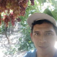 Jose Bendezu Marticorena