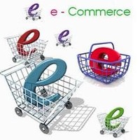 Ecommerce Developers
