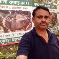 Raghvendra Singh