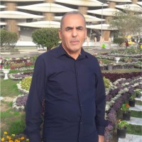 Kareem Alhussieny