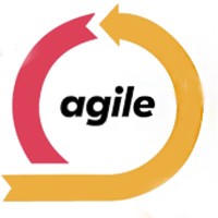 Louis Forte, MAS, PMP, CSM