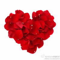 Rene Zhou