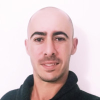 Guy Michelevitz