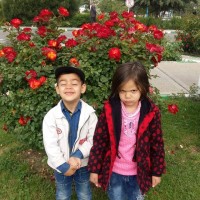 Nahal Misat