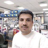 Suprit Deshpande, Ph.D.,