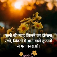 Mohd Amir