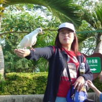 白春玲