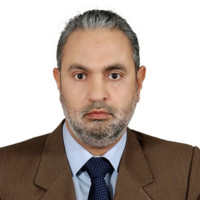 Mahmoud Nouh Csp, Msp, Csm, Cmiosh, Idipnebosh