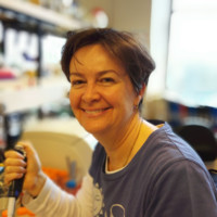 Jan Lloyd