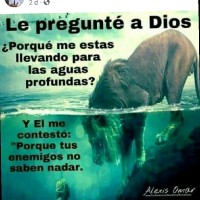 Edgar Saavedra