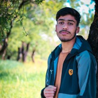 Owais Hamid