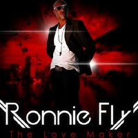 Fly Guy