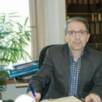 Mohammad Reza Firouzmanesh