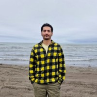 Mohsen Tamiz