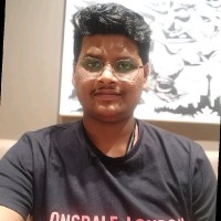 Vipul Padigela