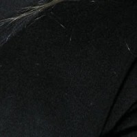 Laura Lawrence
