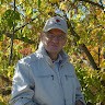 Henry Dorman