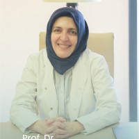 Fatma Yülek