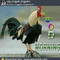 Gopal G