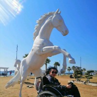 Irmak D.
