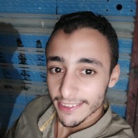 Saif Ghoniem