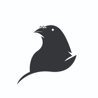 Digi Crow
