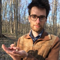 Sam Holdeman