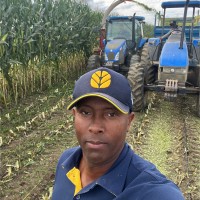 leonardo costa lemos léo