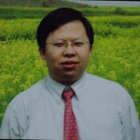David Cai