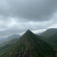 Akil Dodiya