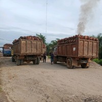 Mujianto Mujianto