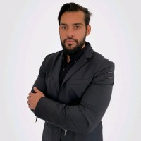 Flavio Mansour