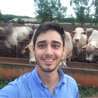 Fernando Maffei Mendes