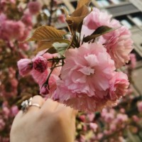 梁菁菁