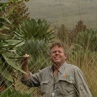 Tim Pearce