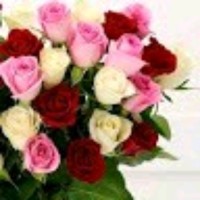 Flowers Flowers