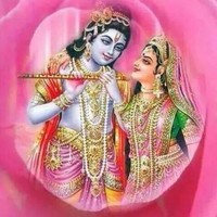 satish dhingra