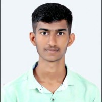 Nitin Bhosale