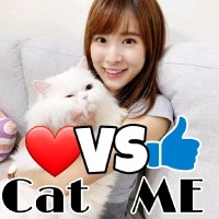 Cats Kittens Meowing