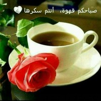 Bashar Falah