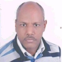 يوسف النجار