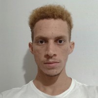 Luiz Davi Damaceno Da Silva