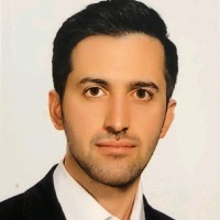 Javad Shahsavari